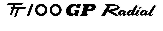 tt100-gp-logo