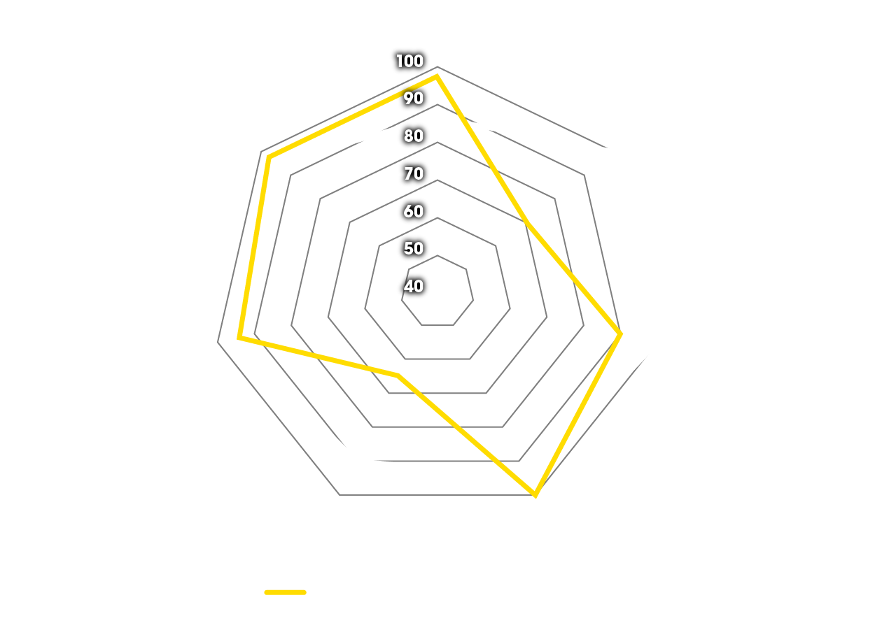 Spider diagram of benefits for Dunlop sport & touring tyres on the BMW GS