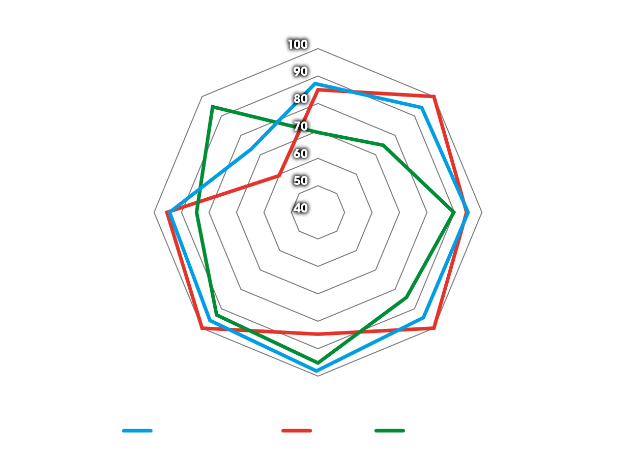 Spider diagram of benefits for Dunlop trail tyres on the BMW GS