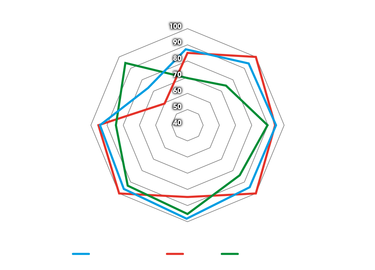 Diagrama de araña de los beneficios de los neumáticos de pista Dunlop en el BMW GS
