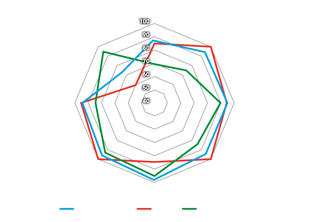 Edderkoppdiagram over fordeler for Dunlop trail-dekk på BMW GS